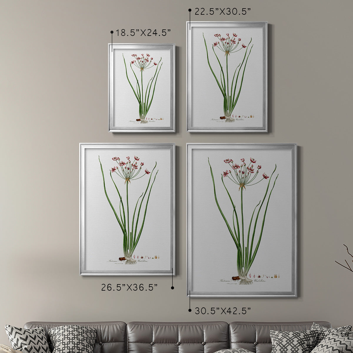 Rose Botanical II - Modern Framed Canvas Print