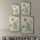 Vintage Garden II - Modern Framed Canvas Print