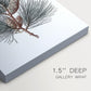 Evergreen of Silver Whisper - Canvas Art Print