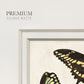 Crackled Butterflies I - Double Matboard Framed Print