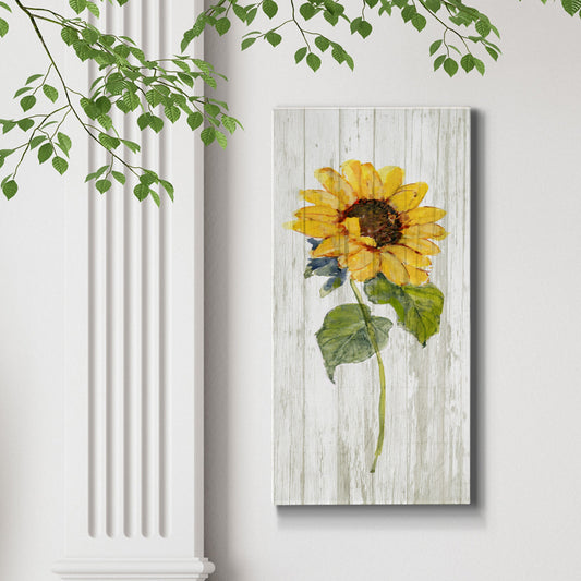 Sunflower in Autumn I - Premium Gallery Wrapped Canvas - Ready to Hang