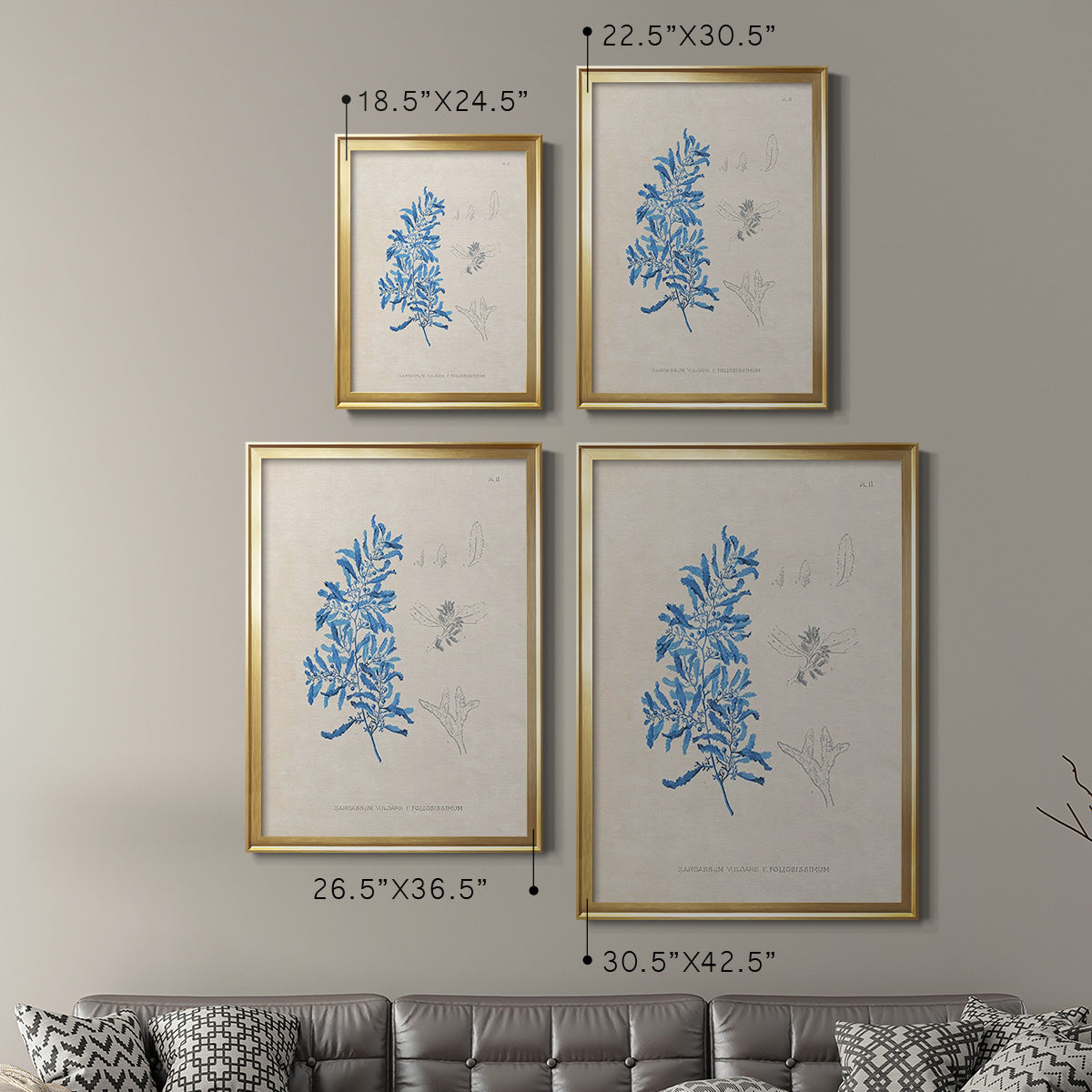 Blue Marine Algae VI - Modern Framed Canvas Print