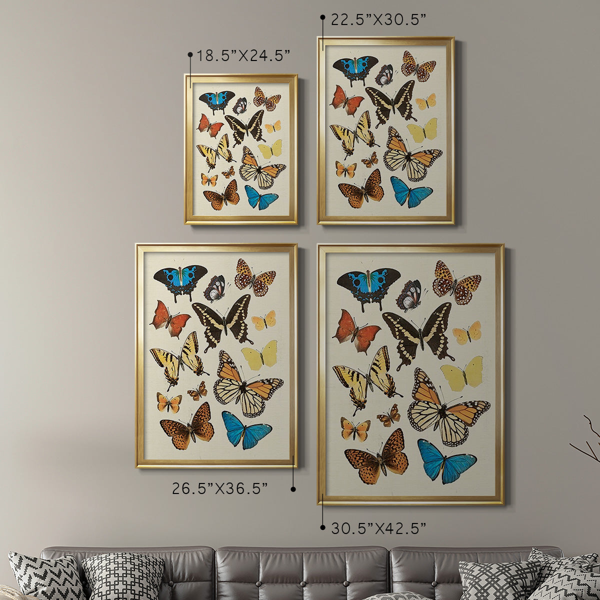 Collected Flutter II - Modern Framed Canvas Print