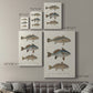 Species of Antique Fish III Premium Gallery Wrapped Canvas - Ready to Hang