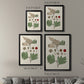Leaves & Berries IV - Modern Framed Canvas Print