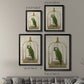 Green Parrot on Swing - Modern Framed Canvas Print