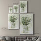 Delicate Greenery II - Canvas Art Print
