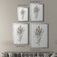 Dainty Botanical III - Modern Framed Canvas Print