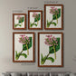 Size comparison chart for a set of two maple barnwood framed canvas prints.