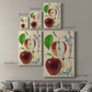 Apple & Blossom Study II Premium Gallery Wrapped Canvas - Ready to Hang