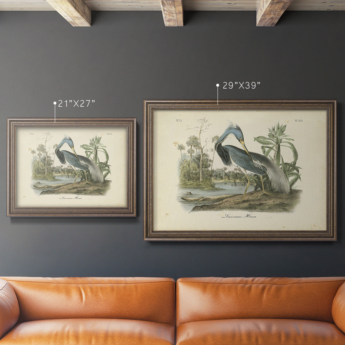 Audubons Louisiana Heron Premium Framed Canvas- Ready to Hang