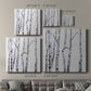 Birch Trees I-Premium Gallery Wrapped Canvas - Ready to Hang