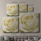 Wall Flower III-Premium Gallery Wrapped Canvas - Ready to Hang