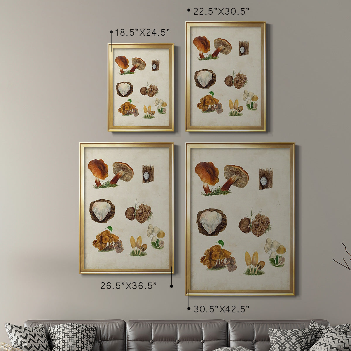 Mushroom Species I - Modern Framed Canvas Print