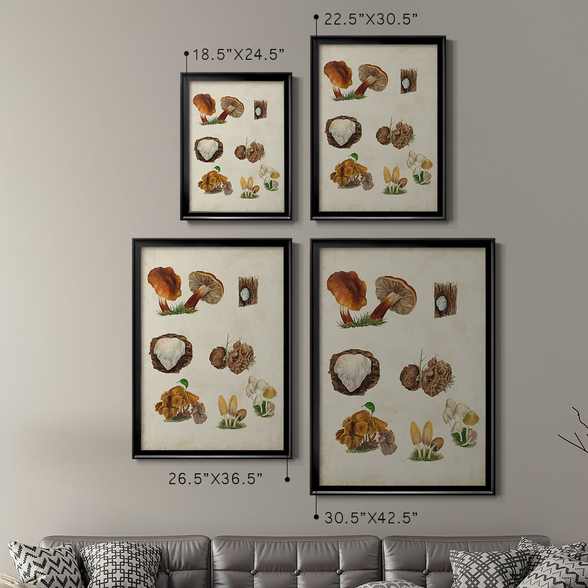 Mushroom Species I - Modern Framed Canvas Print