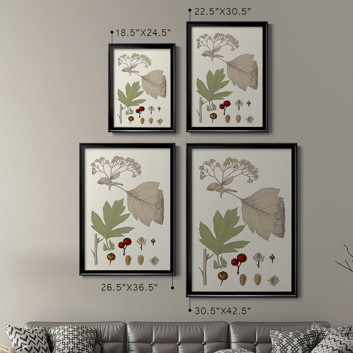 Leaves & Berries II - Modern Framed Canvas Print