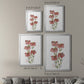 Watercolor Blooms II - Modern Framed Canvas Print