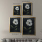 Country Botanical I - Modern Framed Canvas Print
