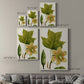 Antique Flowering Trees IV Premium Gallery Wrapped Canvas - Ready to Hang