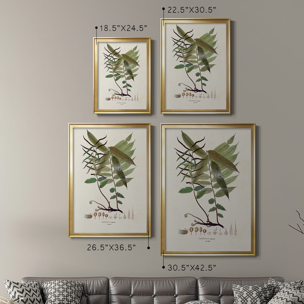 Botanical Society Ferns VI - Modern Framed Canvas Print