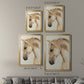 Golden Palomino II - Modern Framed Canvas Print