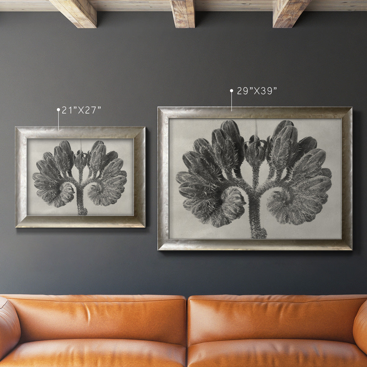 Blossfeldt Botanical VIII Premium Framed Canvas- Ready to Hang