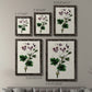 Size comparison chart for a set of two black barnwood framed canvas prints.