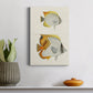 Yellow & Grey Fish I Premium Gallery Wrapped Canvas - Ready to Hang