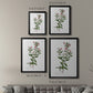 Rose Botanical III - Modern Framed Canvas Print