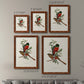 Elegant Trogons I - Premium Framed Canvas 2 Piece Set - Ready to Hang