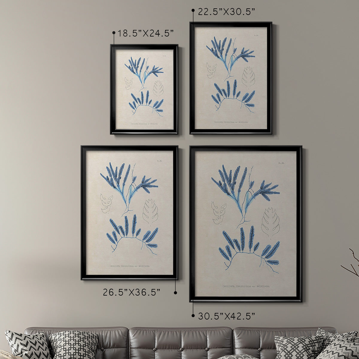 Blue Marine Algae I - Modern Framed Canvas Print