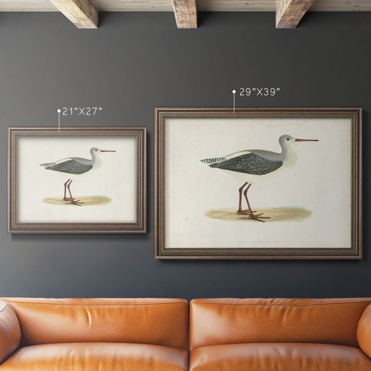 Morris Sandpipers I Premium Framed Canvas- Ready to Hang