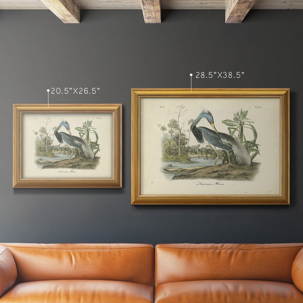 Audubons Louisiana Heron Premium Framed Canvas- Ready to Hang