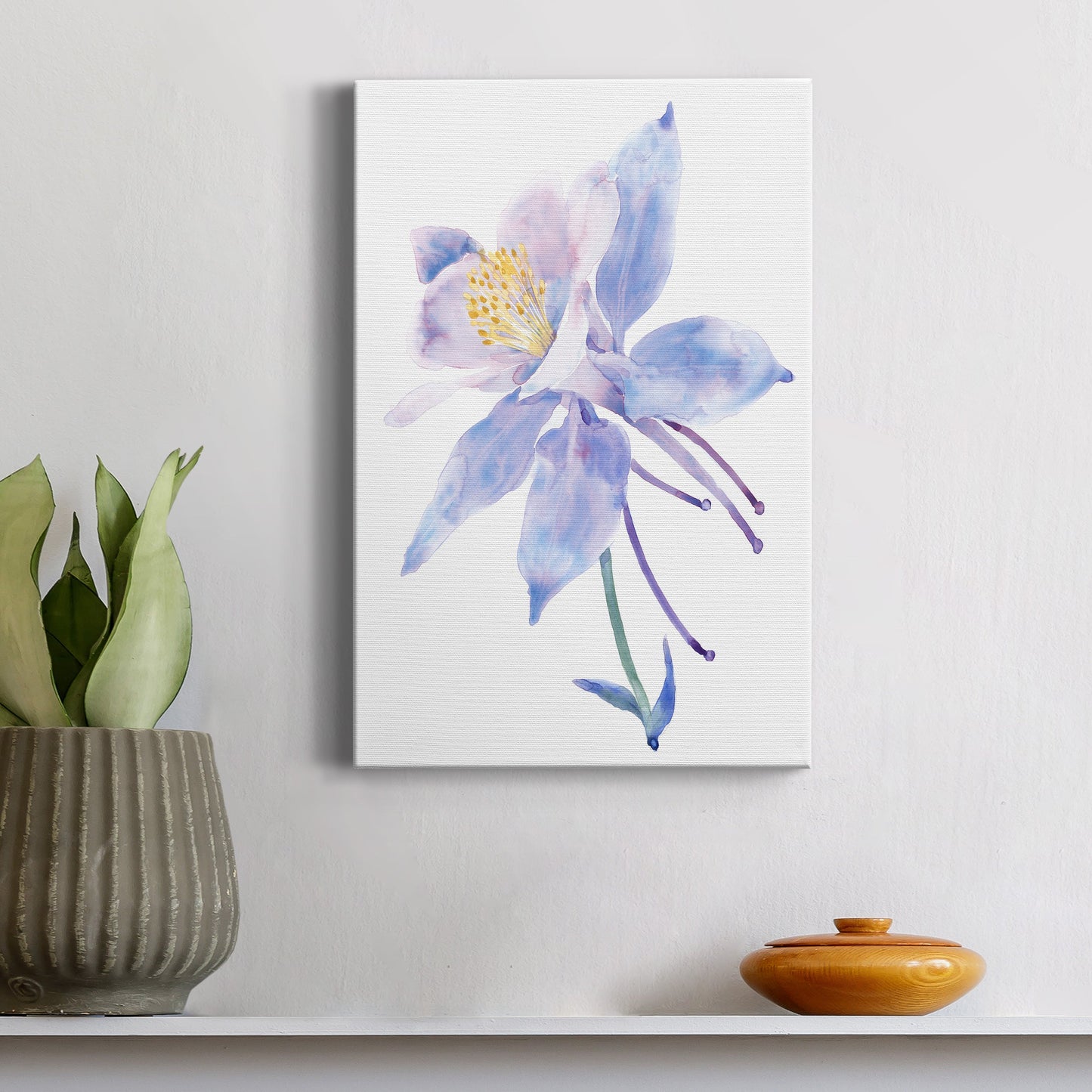 Columbine Bloom II Premium Gallery Wrapped Canvas - Ready to Hang