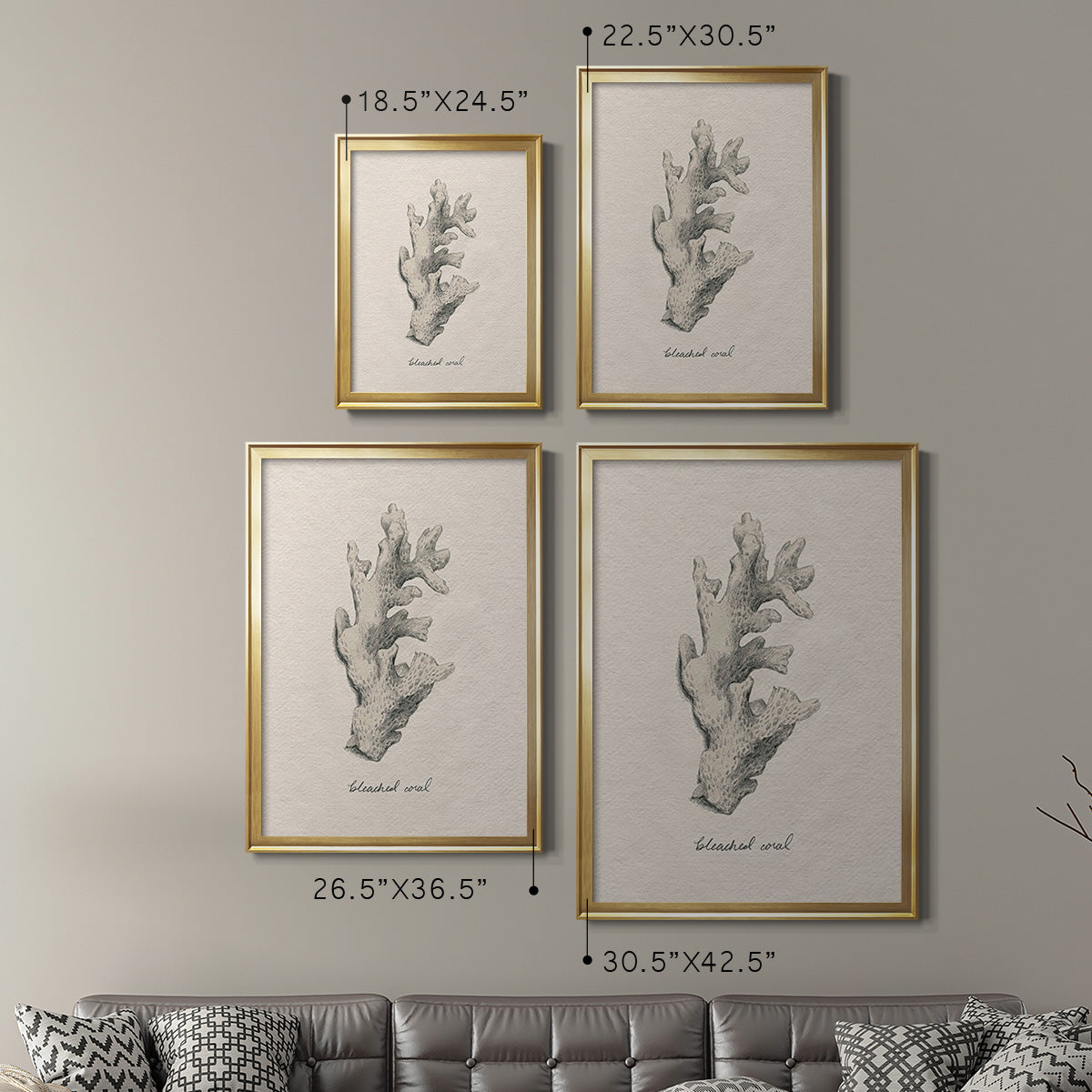 Shore Treasure Study II - Modern Framed Canvas Print