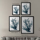 Coral Souvenirs IV - Modern Framed Canvas Print