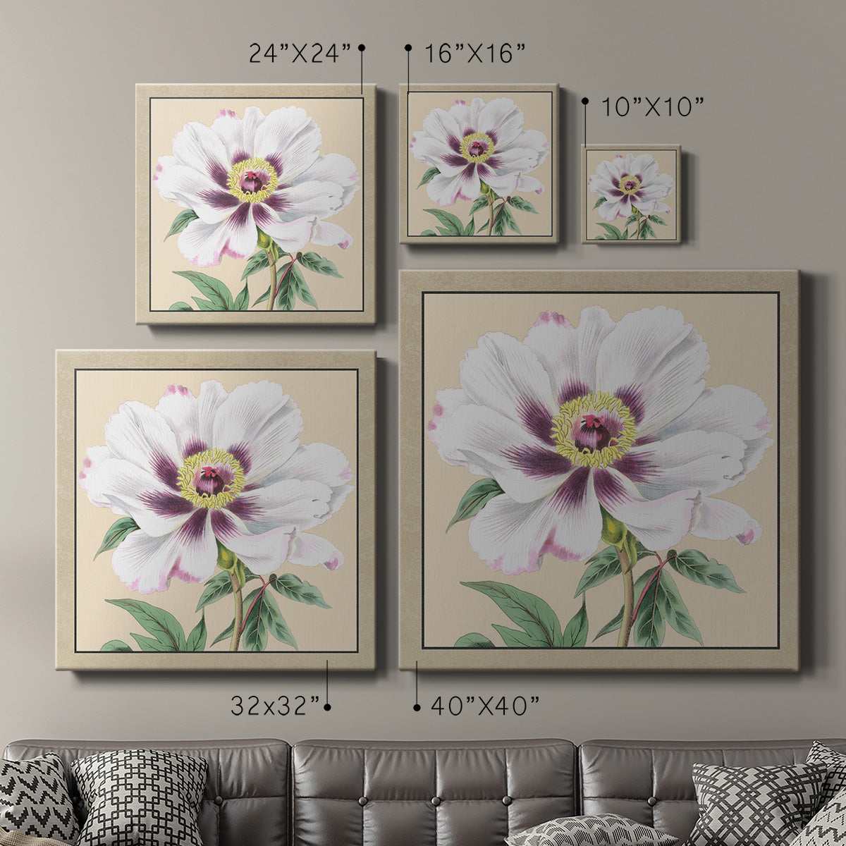Peony Collection VI - Canvas Art Print