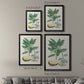 Buchoz Tropicals IV - Modern Framed Canvas Print