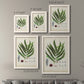 Collected Ferns III - Premium Framed Canvas 2 Piece Set - Ready to Hang