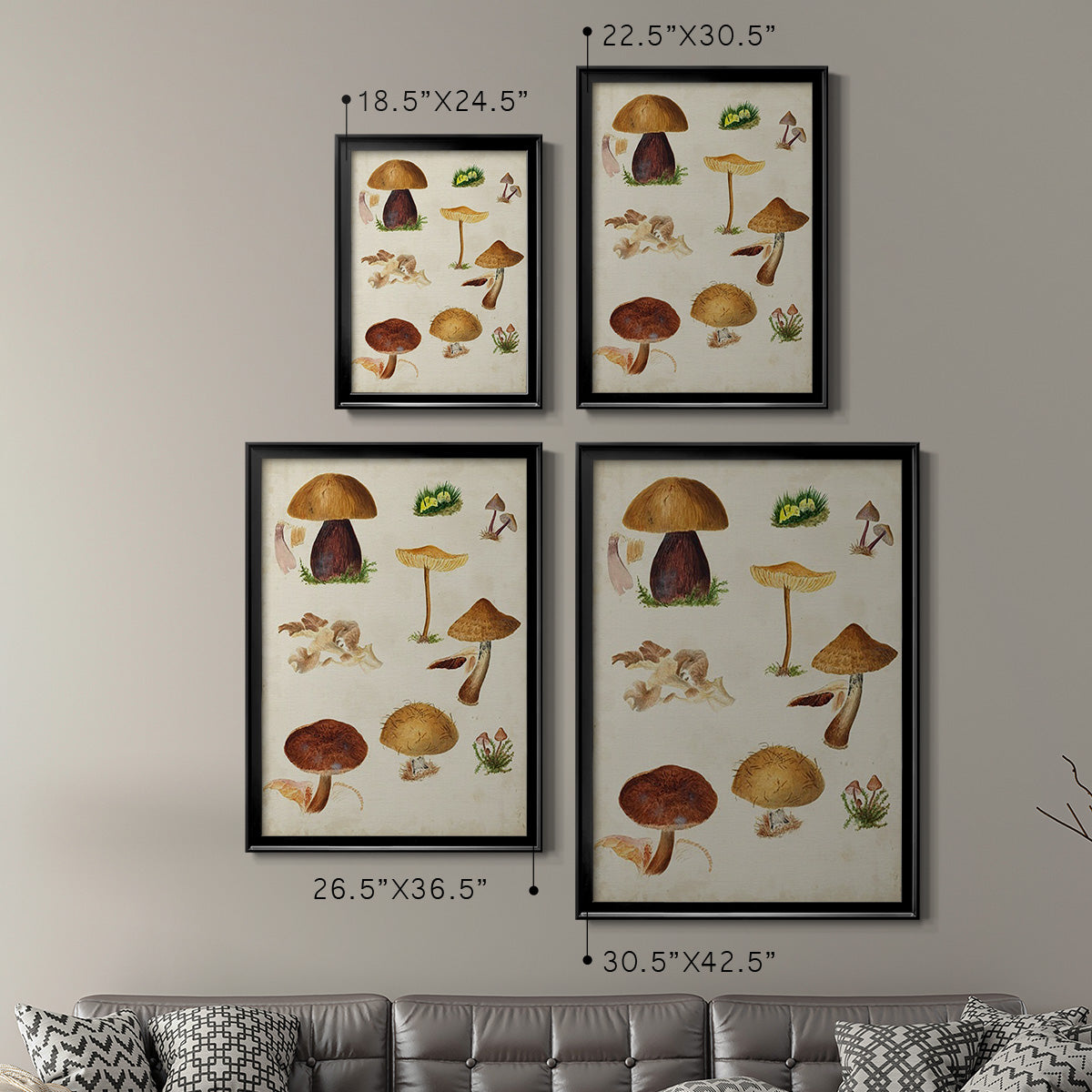 Mushroom Species II - Modern Framed Canvas Print