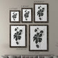 Size comparison chart for a set of two black barnwood framed canvas prints.