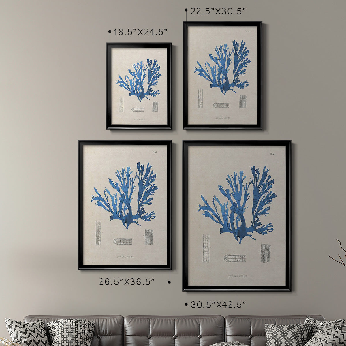 Blue Marine Algae IX -  Framed Canvas Print