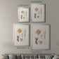 Knorr Shells & Coral VII - Modern Framed Canvas Print