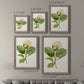 Size comparison chart for a set of two gray barnwood framed canvas prints.