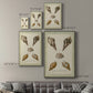 Bookplate Shells VIII Premium Gallery Wrapped Canvas - Ready to Hang