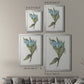 Blue Tulip Picks II - Modern Framed Canvas Print