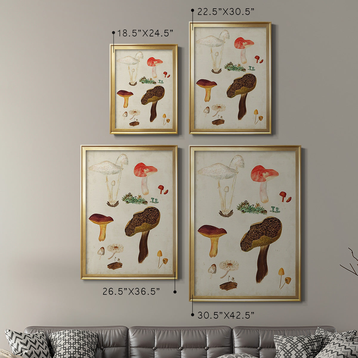 Mushroom Species XI - Modern Framed Canvas Print