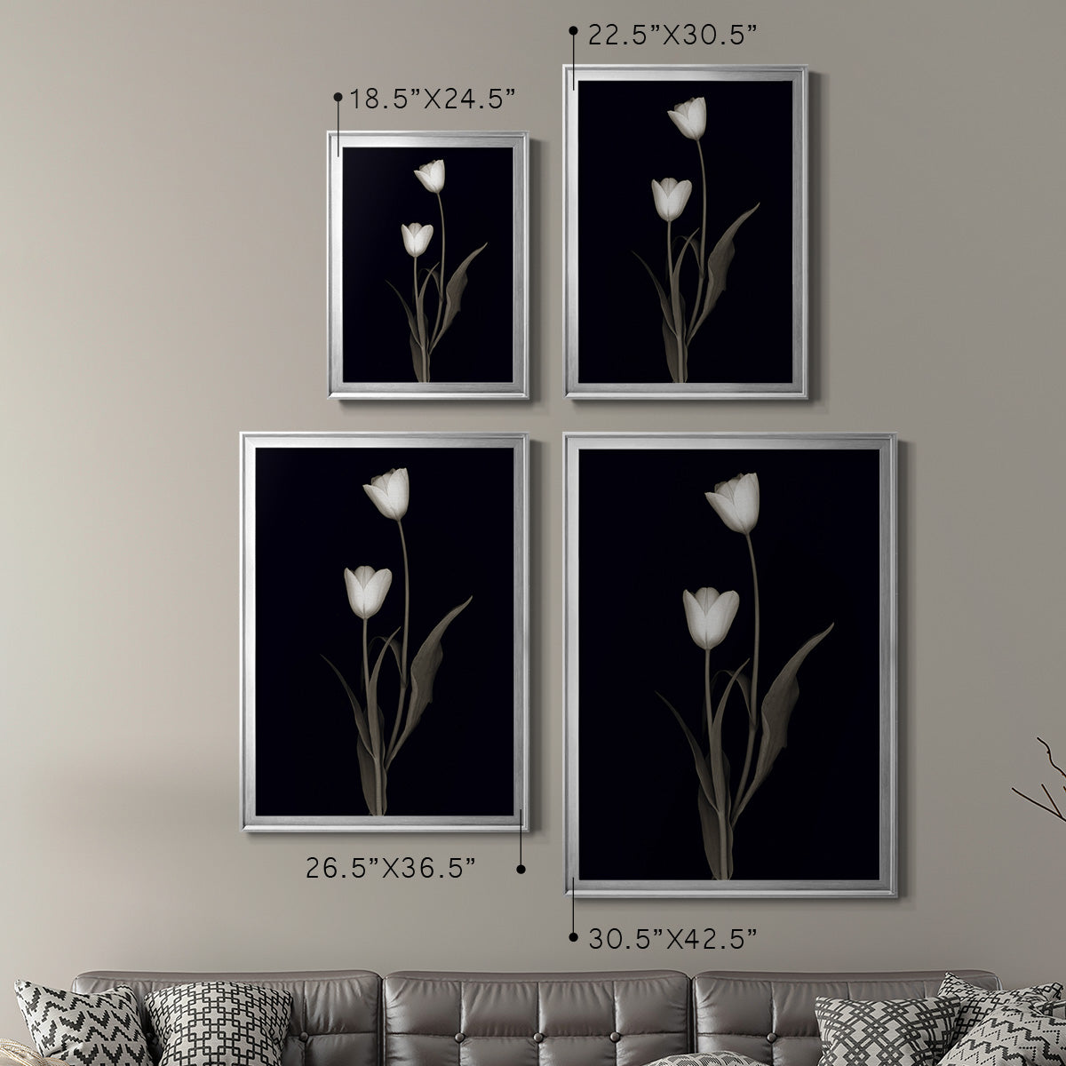 Tulip Pose II - Modern Framed Canvas Print