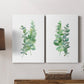 Eucalyptus I Premium Gallery Wrapped Canvas - Ready to Hang - Set of 2 - 8 x 12 Each