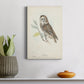 Little Owl Premium Gallery Wrapped Canvas - Ready to Hang